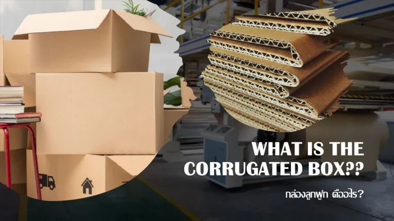 CORRUGATED BOX,กล่องลูกฟูก,กล่องกระดาษ,Testing Equipment, เครื่องมือวัด,Chemical House
