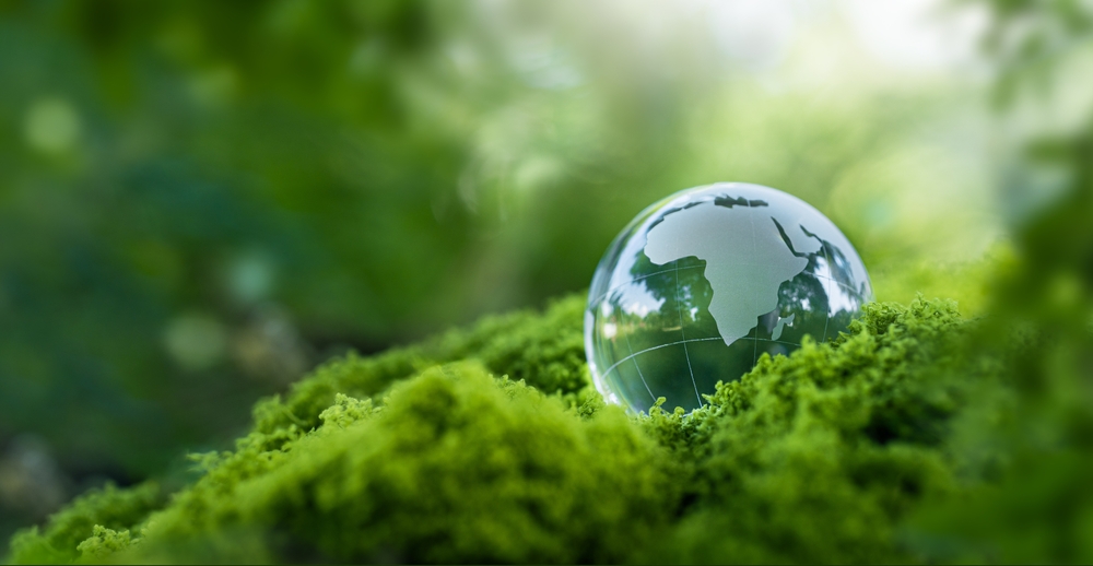 Sustainability